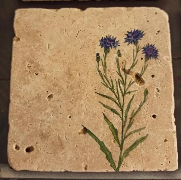 Doğal Taş Traverten Bardak Altlığı